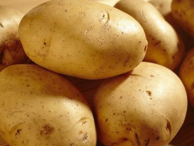 徐薯18红薯品种特点