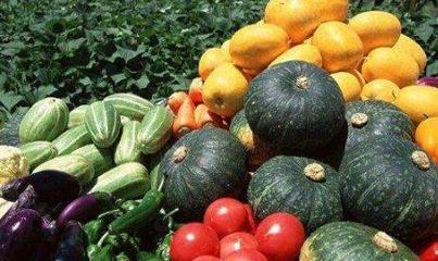 蔬菜种子应属于哪个商标类别?